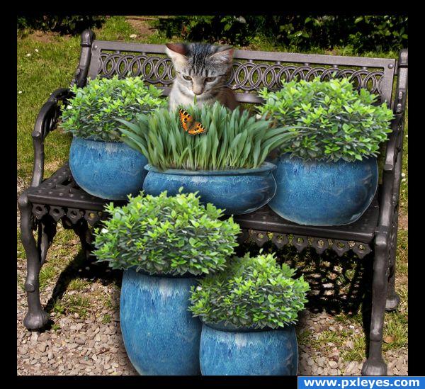 garden bench  